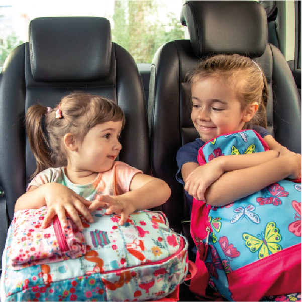 Conducción Segura de Vans Escolares